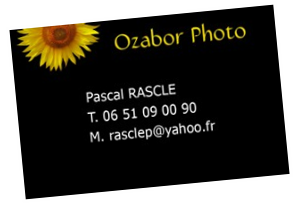 Carte de visite Pascal Rascle Photographe PACA Visite virtuelle Google Street View Trusted